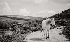 راهنمای خرید طلای دست دوم